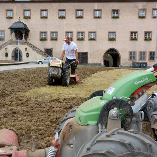 Foto 05 - Stadt Zeitz fördert Biodiversität - Wiesen an Altmarkt und Kalktor werden zu Wildblumenwiesen