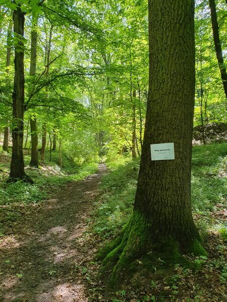 Bachtalweg Knittelholz