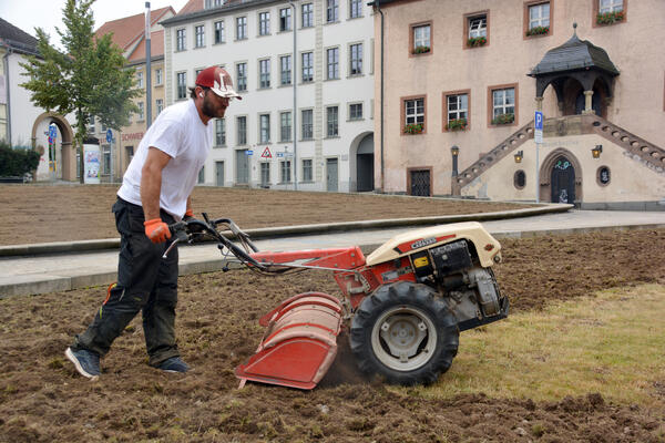 Foto - Gemeinsam sähen und Vielfalt erleben - Aktion für mehr Biodiversität am 21. August auf den Blühwiesen vorm Rathaus