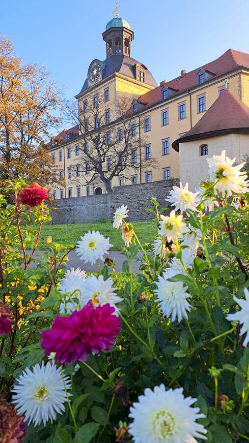 01 - Herbstlicher Schlosspark