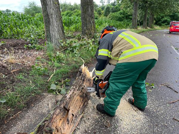 Feuerwehr beseitigt Bume