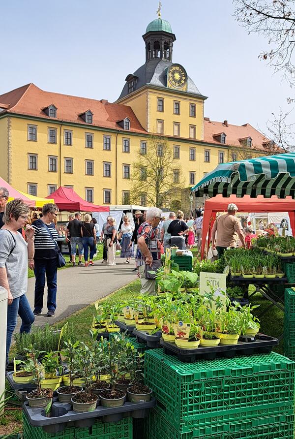 Frühlingsmarkt 2024 (c) Stadt Zeitz